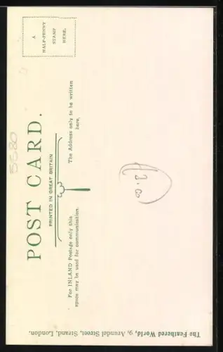 Künstler-AK Taube der Rasse Cumulet