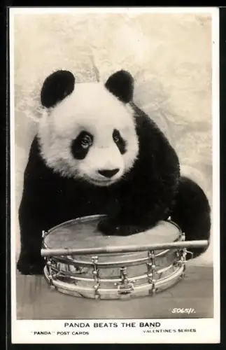 AK Junger Panda mit Trommel, Portrait