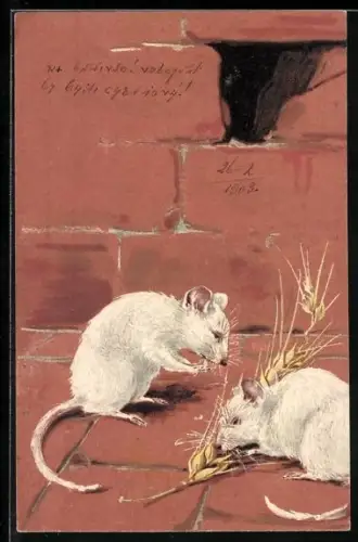 AK Weisse Ratten und Rattenloch in einer Steinwand