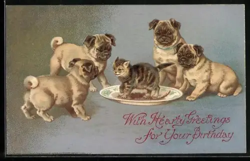 Lithographie Hundewelpen umringen ein Katzenkind auf dem Futterteller, Geburtstagsgruss