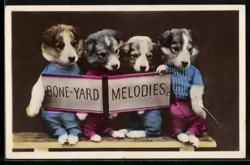 AK Bone-Yard Melodies, Bekleidete Hundewelpen mit Notenblatt