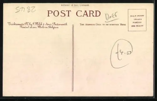 AK Beauty is but skin deep, Bulldog