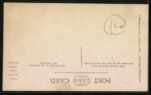 AK Left Behind, Bulldog, Terrier, Boxer