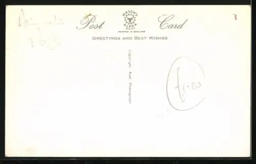 AK When shall we hear from you?, Puppys with Hats and Clothes