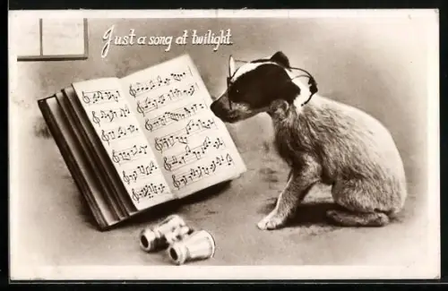 AK Kleiner Hund mit Brille, Notenblatt und Opernglas