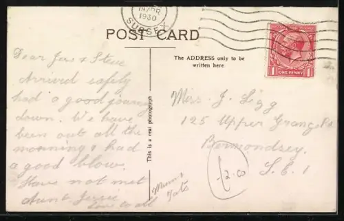 AK Kleiner Hund mit Brille, Notenblatt und Opernglas