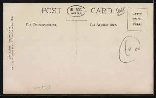 AK Left Behind, Bulldog, Terrier and Boxer