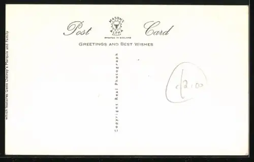 AK Schimpansenkind auf einem Babystühlchen vor gedecktem Tisch