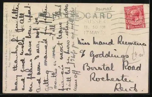 AK Indian Elephant carrying children