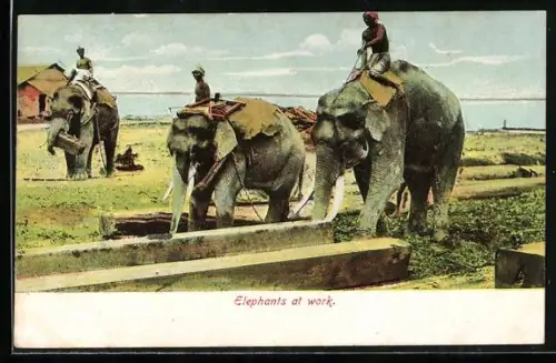 AK Elefanten bei der Arbeit