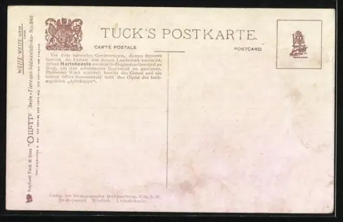 AK Haartebester (Kuhantilopen) zur Regenzeit in Afrika