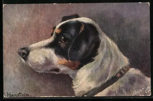 Künstler-AK hübscher Terrier mit Lederhalsband