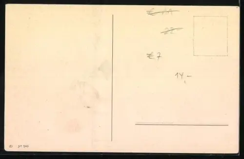 AK Zwei Terrier spielen mit einer Puppe