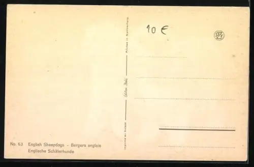 AK zwei englische Schäferhunde auf einer Wiese nebeneinander