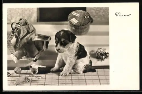 Foto-AK Hundewelpe und Spielzeug