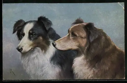 Künstler-AK Carl Reichert: Colleys, schottische Schäferhunde, Collies