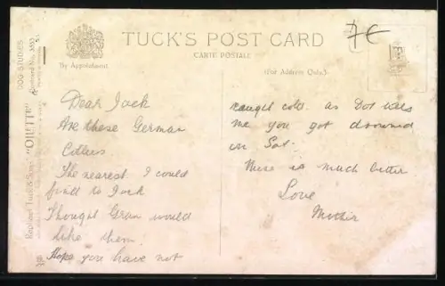 Künstler-AK Carl Reichert: Colleys, schottische Schäferhunde, Collies