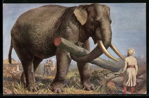 AK Indischer Elefant im Arbeitseinsatz