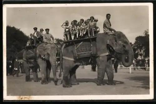 AK Hamburg-Altona-Stellingen, Carl Hagenbecks Tierpark, Elefanten-Reiten