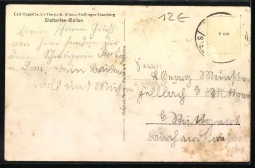 AK Hamburg-Altona-Stellingen, Carl Hagenbecks Tierpark, Elefanten-Reiten