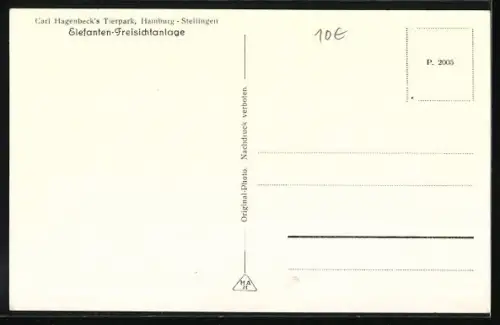 AK Hamburg-Stellingen, Carl Hagenbeck`s Tierpark, Elefenten-Freisichtanlage