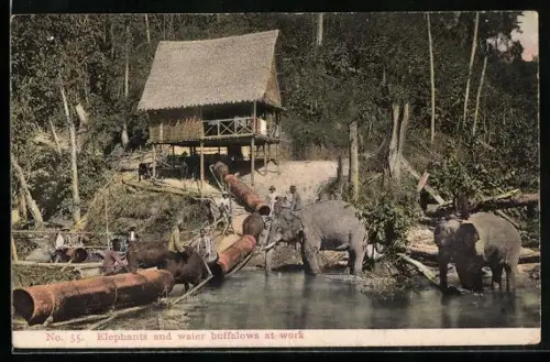 AK Elephants and Water buffalows at Work
