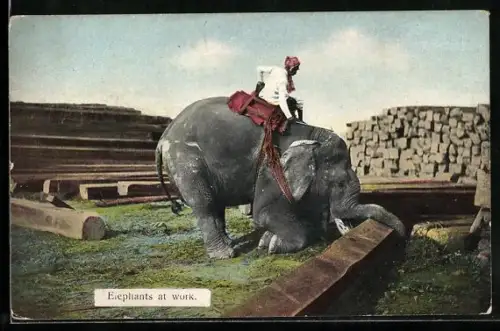 AK Elephants at work, Arbeits-Elefant