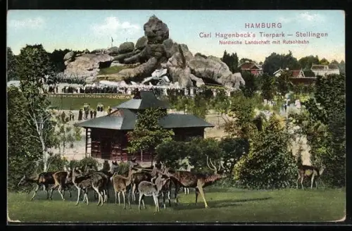 AK Stellingen-Hamburg, Hagenbecks Tierpark, Hirschherde und Nordische Landschaft