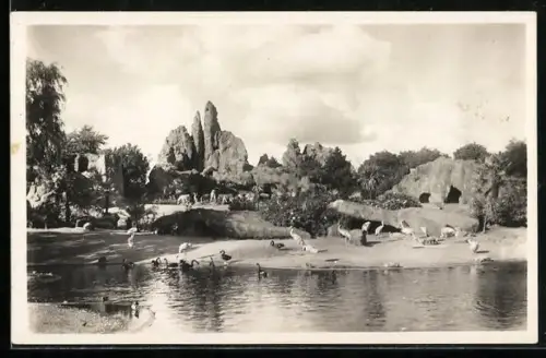 AK Hamburg-Altona-Stellingen, Hagenbeck`s Tierpark, Gesamt-Panorama