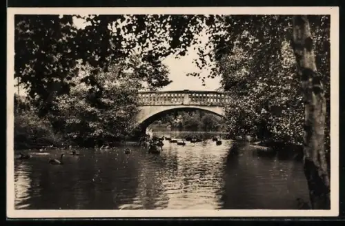 AK Hamburg-Stellingen, Carl Hagenbeck`s Tierpark, Idyllische Landschaft beim Sommerrestaurant
