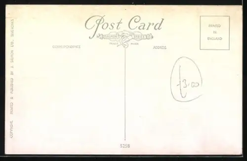 Künstler-AK Verkehrsflugzeug Airspeed Ambassador im Flug