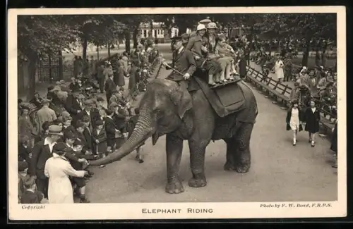 AK London, Garden of the Zoological Society, Regent`s Park, Elephant Riding