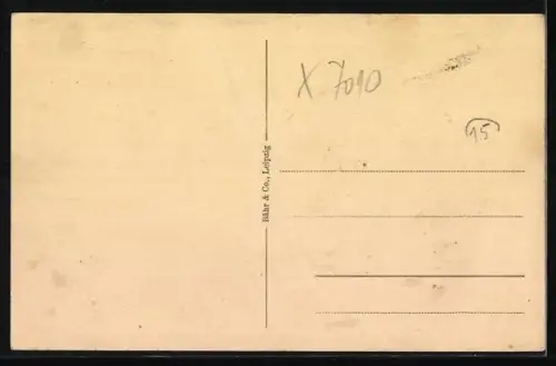 AK Leipzig, Zoologischer Garten, Berganlage, Aufstieg zur Alm