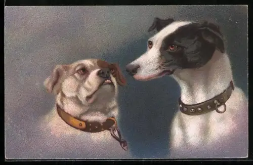 Künstler-AK Bulldogge und anderer Hund