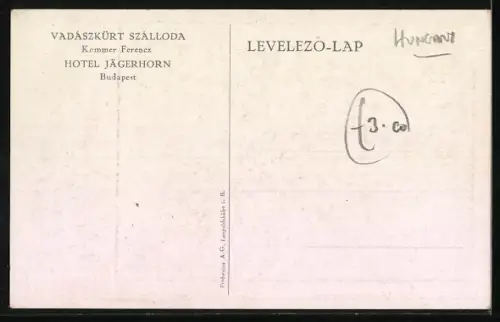 Künstler-AK Budapest, Hotel Jägerhorn, parkende Autos, wehende ungarische Fahnen