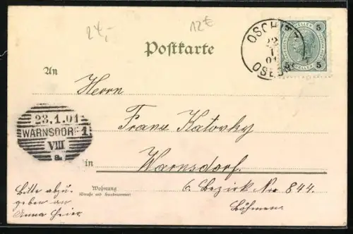 Lithographie Frau mit Schirm auf Hängematte, Rosenbusch am Baum