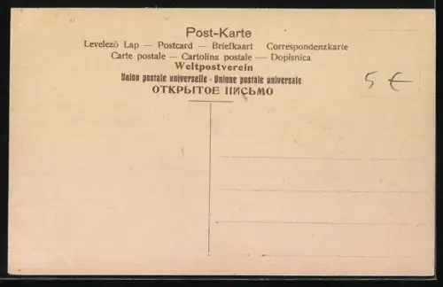 AK Papst Pius IX in den Gärten des Vatikans