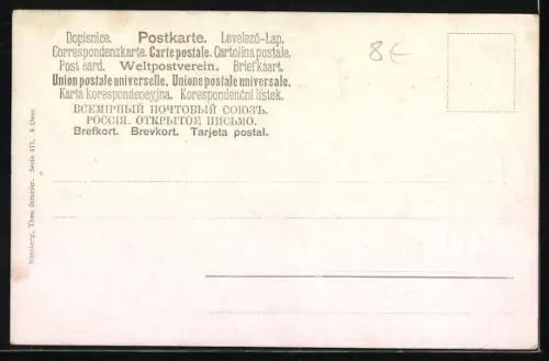 Künstler-AK M.Billing: Verschiedene Pilze, manche in ein Tuch eingewickelt