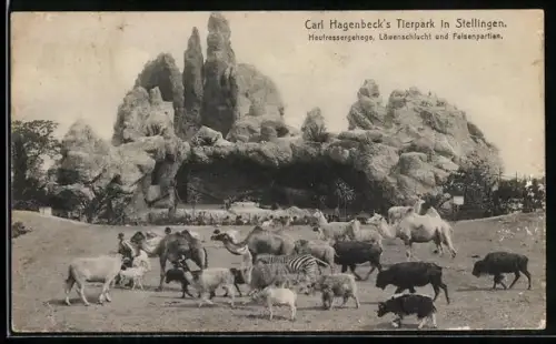 AK Hamburg-Stellingen, Heufressergehe, Löwenschlucht und Felspartien, Carl Hagenbeck`s Tierpark