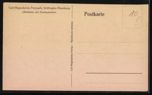 AK Hamburg, Zoo, Affenfelsen mit Flamingowiese