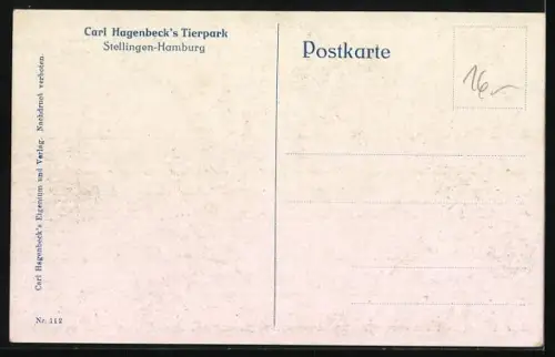 AK Hamburg-Stellingen, Carl Hagenbeck`s Tierpark, Felspartie mit Wasserfall