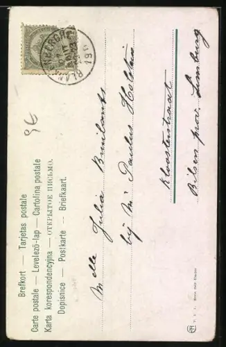 AK hübscher Jagdhund sitzt auf einer Bank