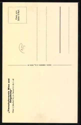 AK Wien, Tierschutzverein für Wien und Umgebung, Schulhof 6, Hundeaugen