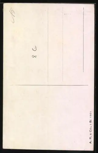 AK Brauner Spaniel mit treuem Blick