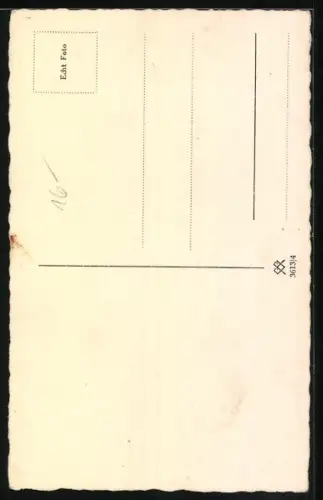 AK Porträt eines kleinen Hundes mit zotteligem Fell