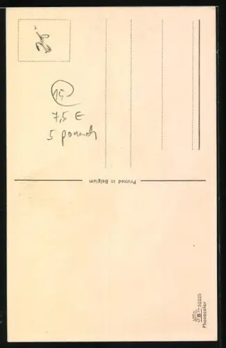 AK Schäferhund guckt aufmerksam