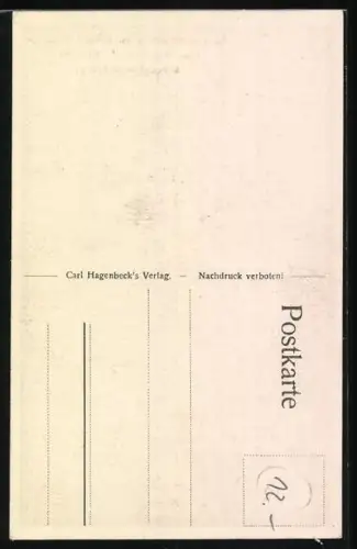 AK Hamburg-Stellingen, Alpensteinböcke und nubische Steinböcke in Hagenbecks Tierpark