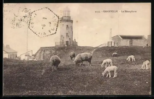 AK Granville, Le Semaphore, Leuchtturm, Schafe