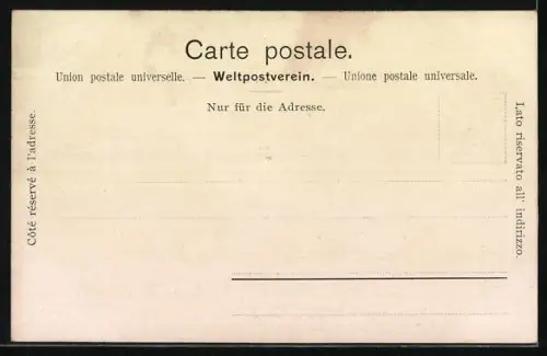 AK Rheinfall, Panorama mit Brücke