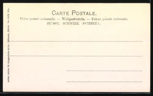 AK Rheinfall, Panorama mit Sturzbecken